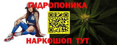 стафф Нальчик